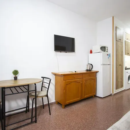 Alegria Id33 * 托雷维耶哈