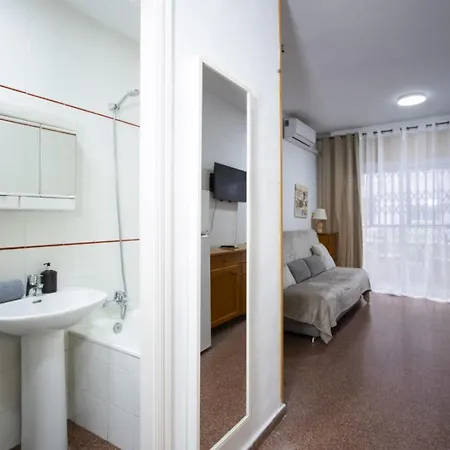 Alegria Id33 * 托雷维耶哈