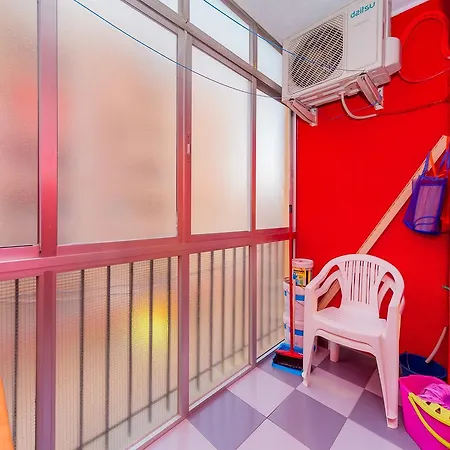 Alegria Id33 托雷维耶哈